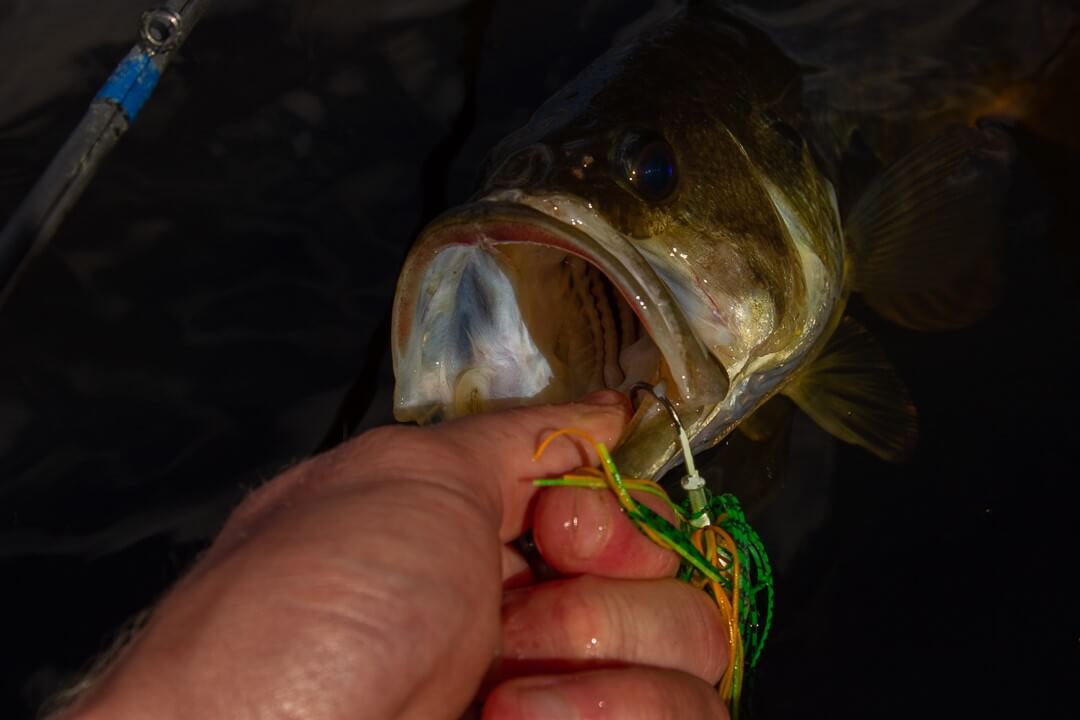 What Spinnerbait to use in Muddy Water Tips & Tricks